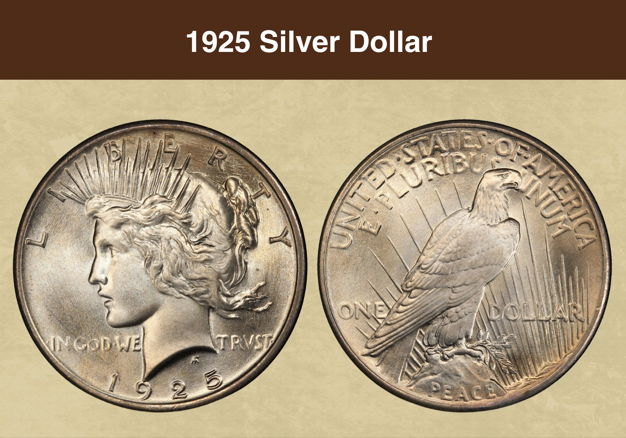 1925 Silver Dollar Value