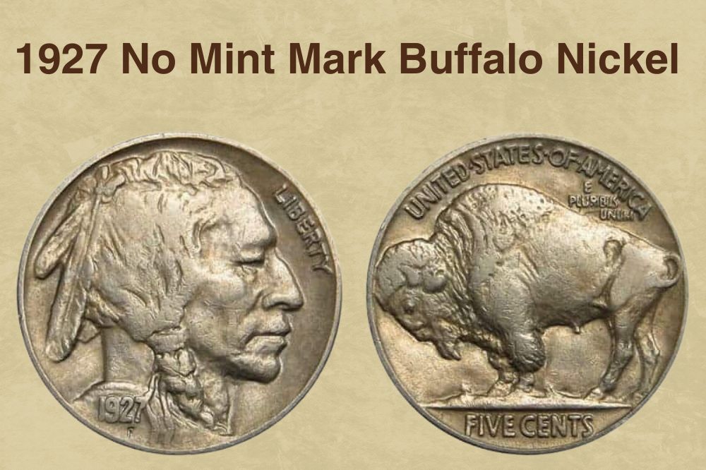 17 Most Valuable Buffalo Nickel Worth Money (With Pictures)