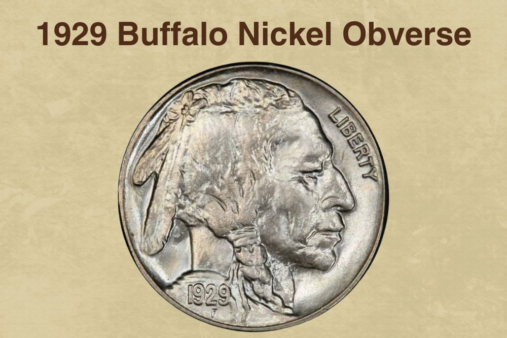 1929 Buffalo Nickel Coin Value (Rare Errors, D, S & No Mint Marks)