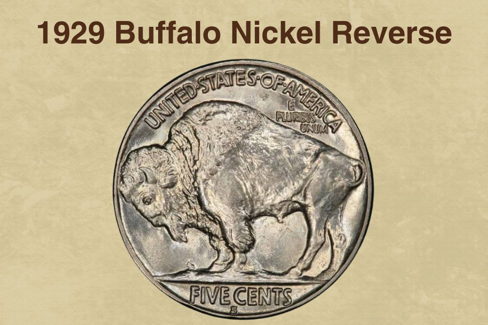 1929 Buffalo Nickel Reverse