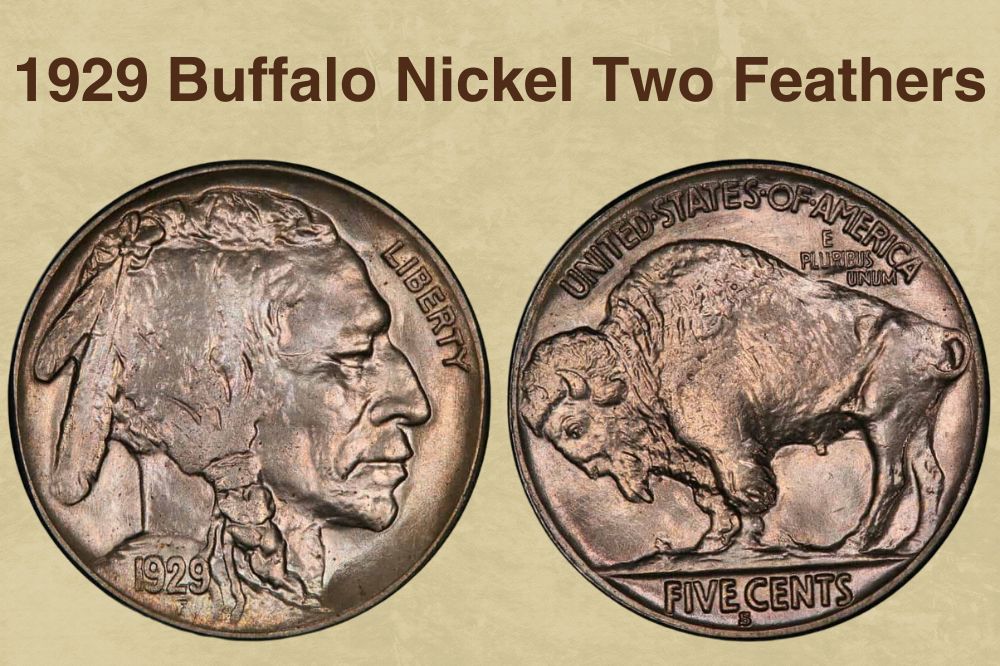 1929 Buffalo Nickel Two Feathers