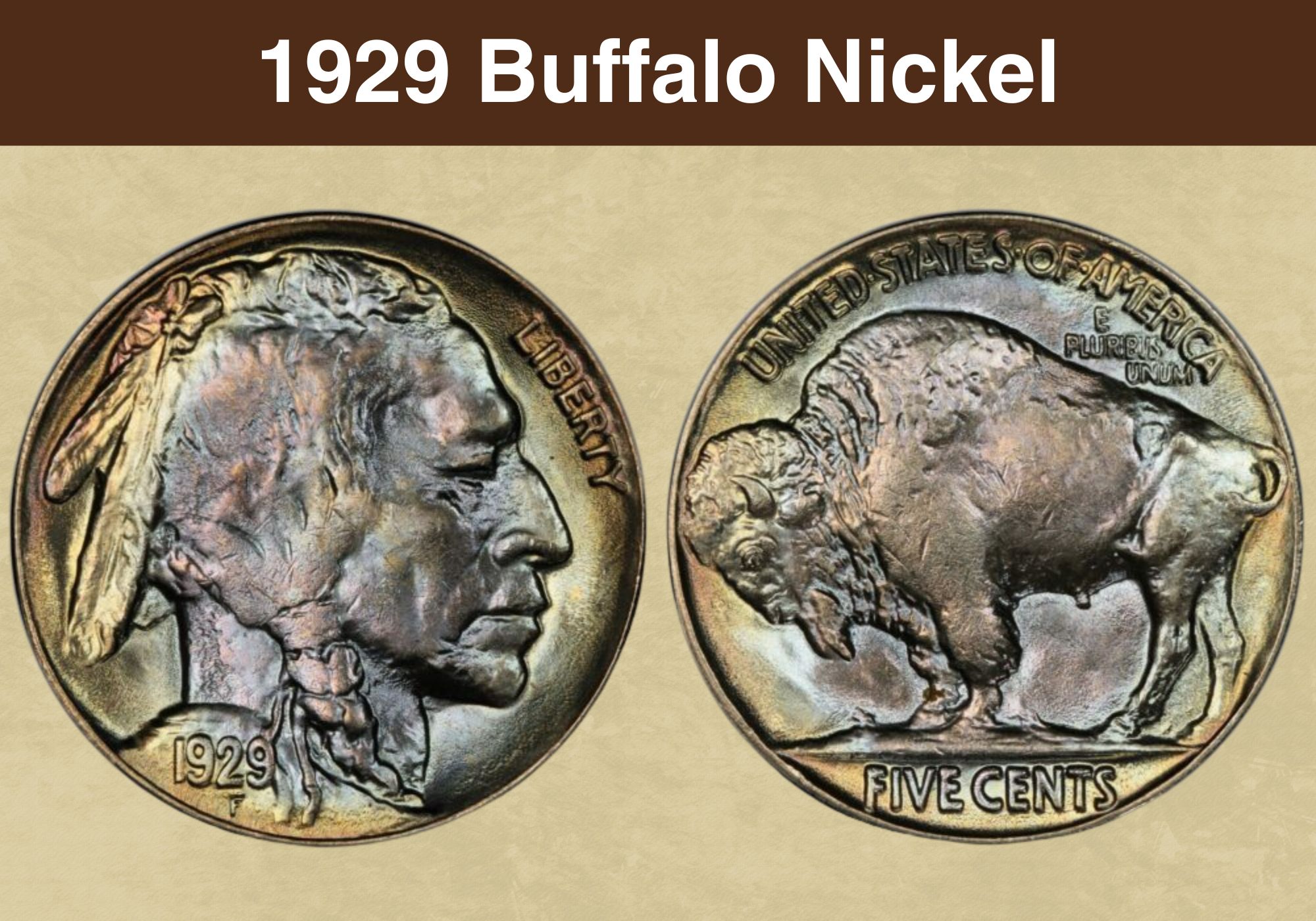 1929 Buffalo Nickel Coin Value (Errors List, “D”, “S” & No Mint Mark Worth)