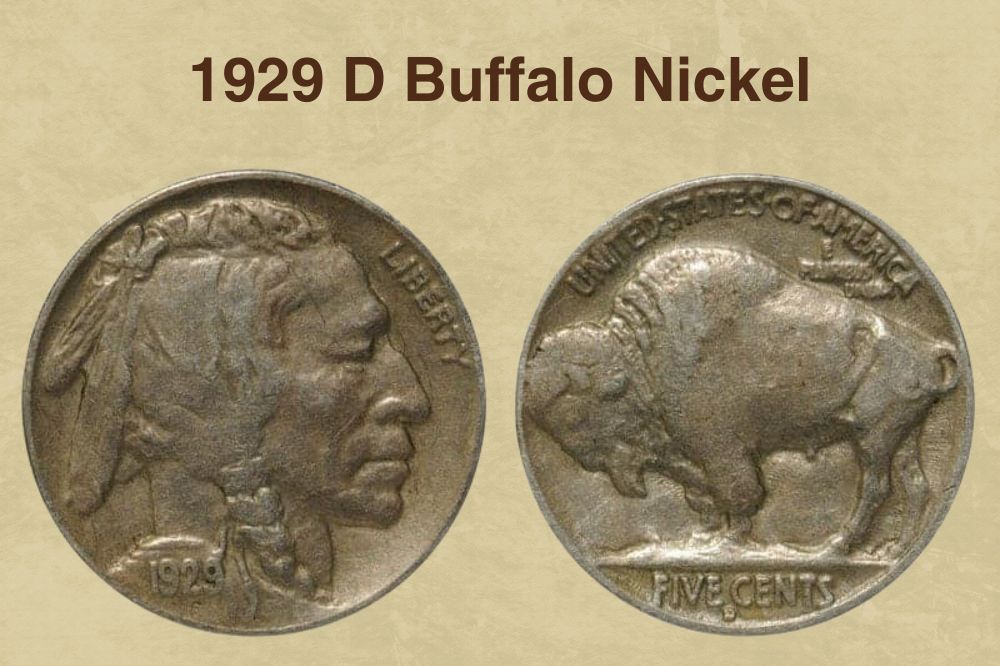 1929 D Buffalo Nickel