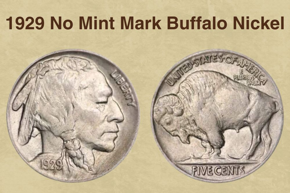 1929 No Mint Mark Buffalo Nickel