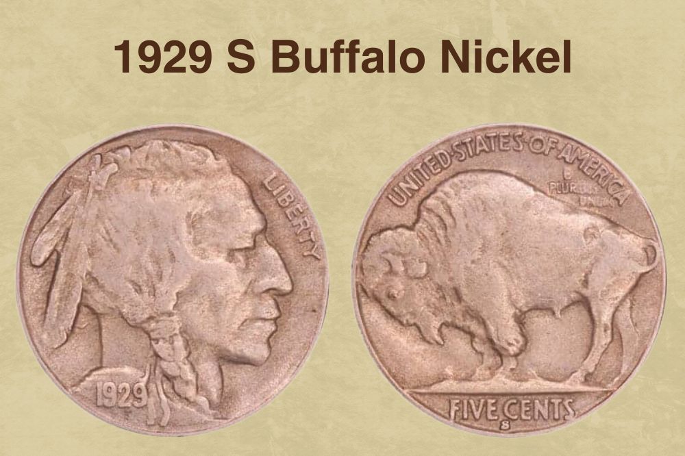 1929 S Buffalo Nickel