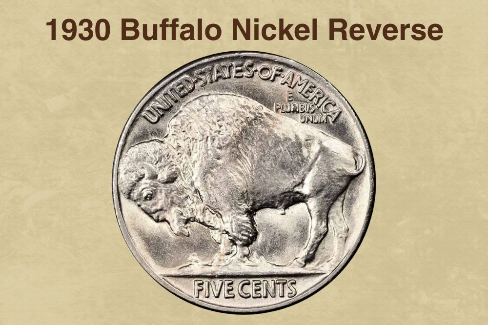 1930 Buffalo Nickel Reverse