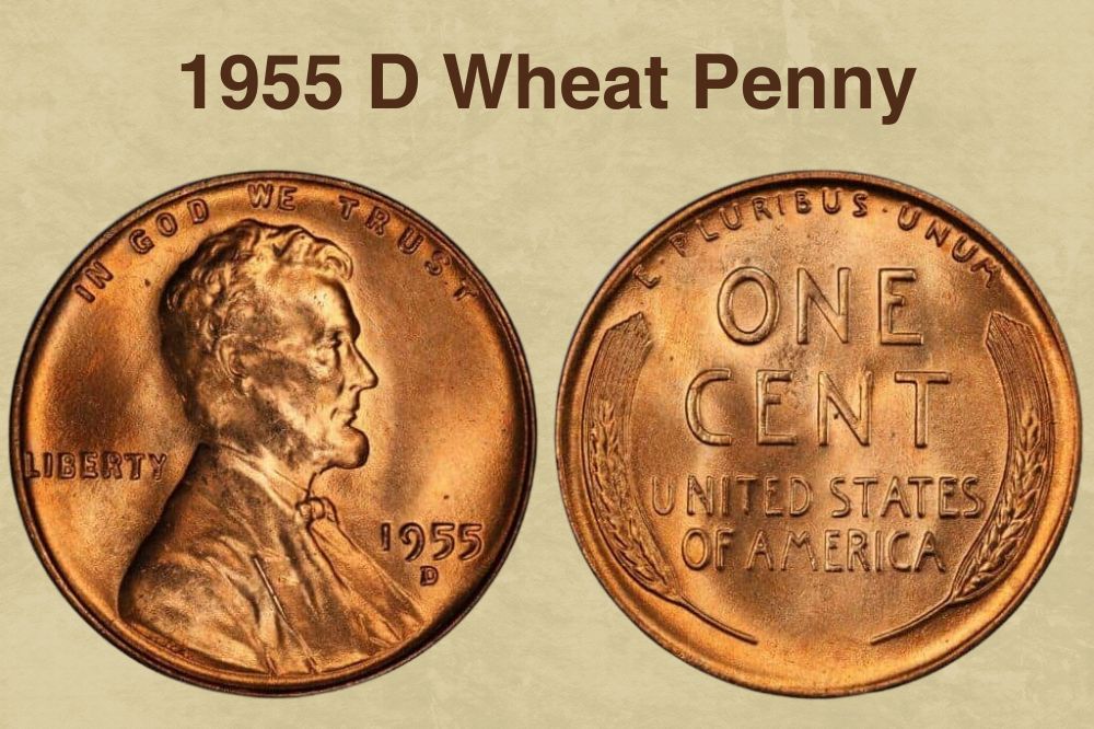 1955 D Wheat Penny