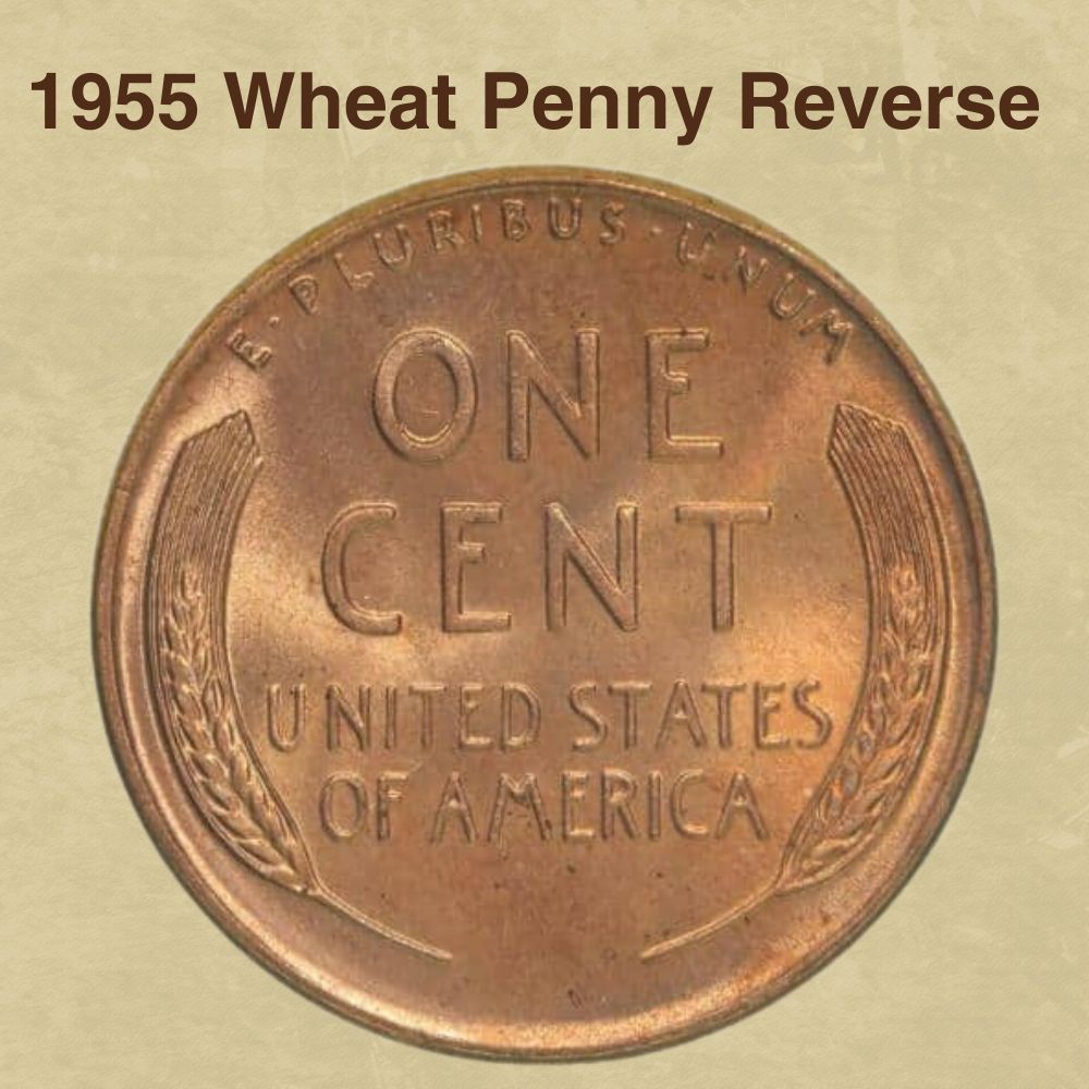 1955 Wheat Penny Reverse 