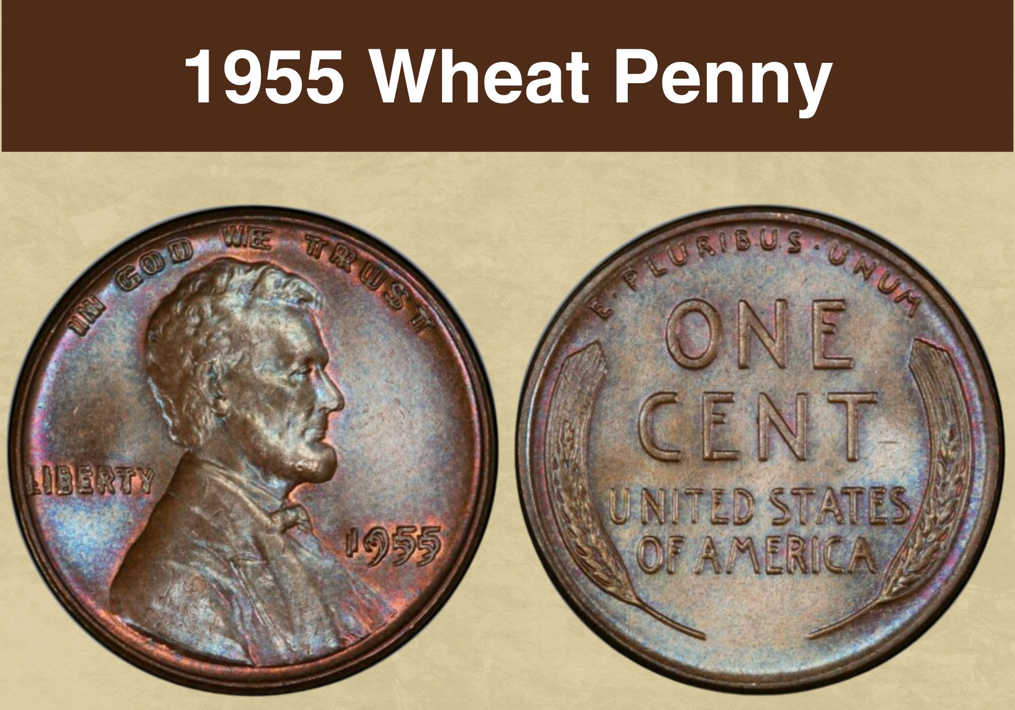 1955 Wheat Penny Coin Value (Errors List, “D”, “S” & No Mint Mark Worth)