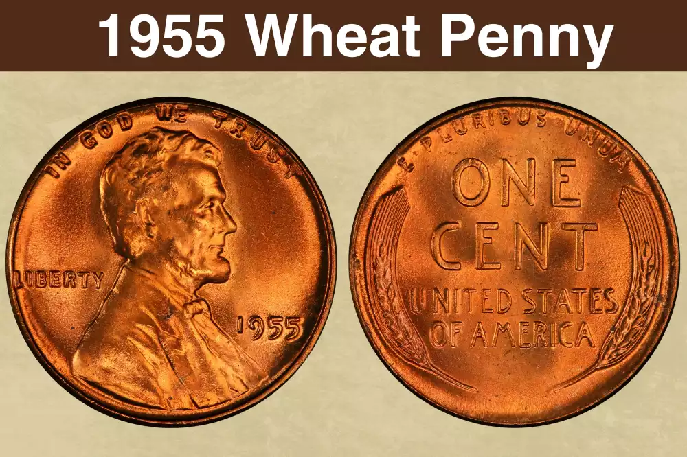 1955 Wheat Penny Value