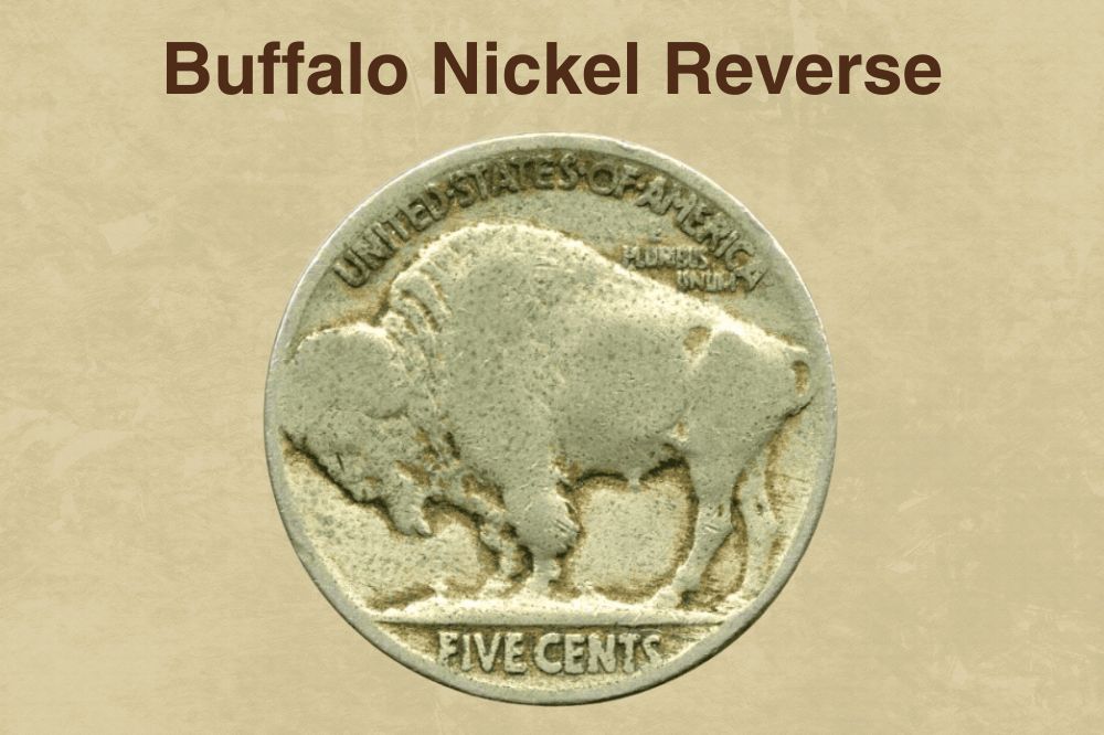 Buffalo Nickel Reverse