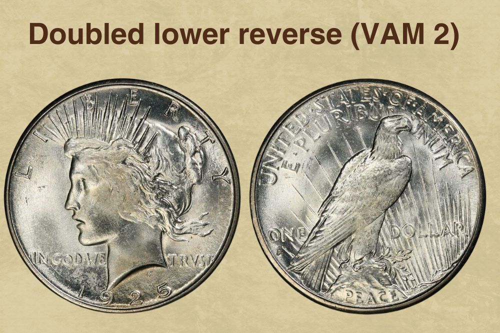 Doubled lower reverse (VAM 2)