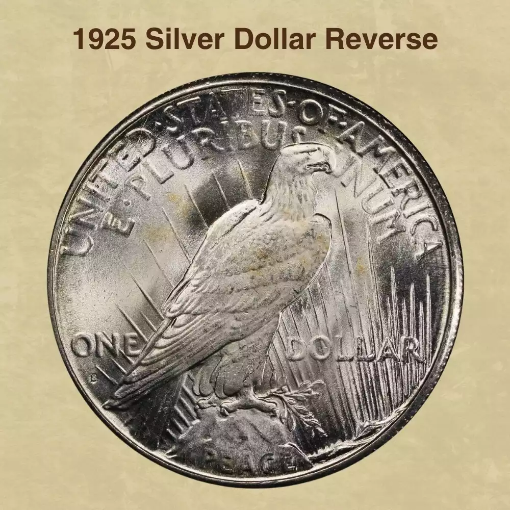 The Reverse Of The 1925 Silver Dollar