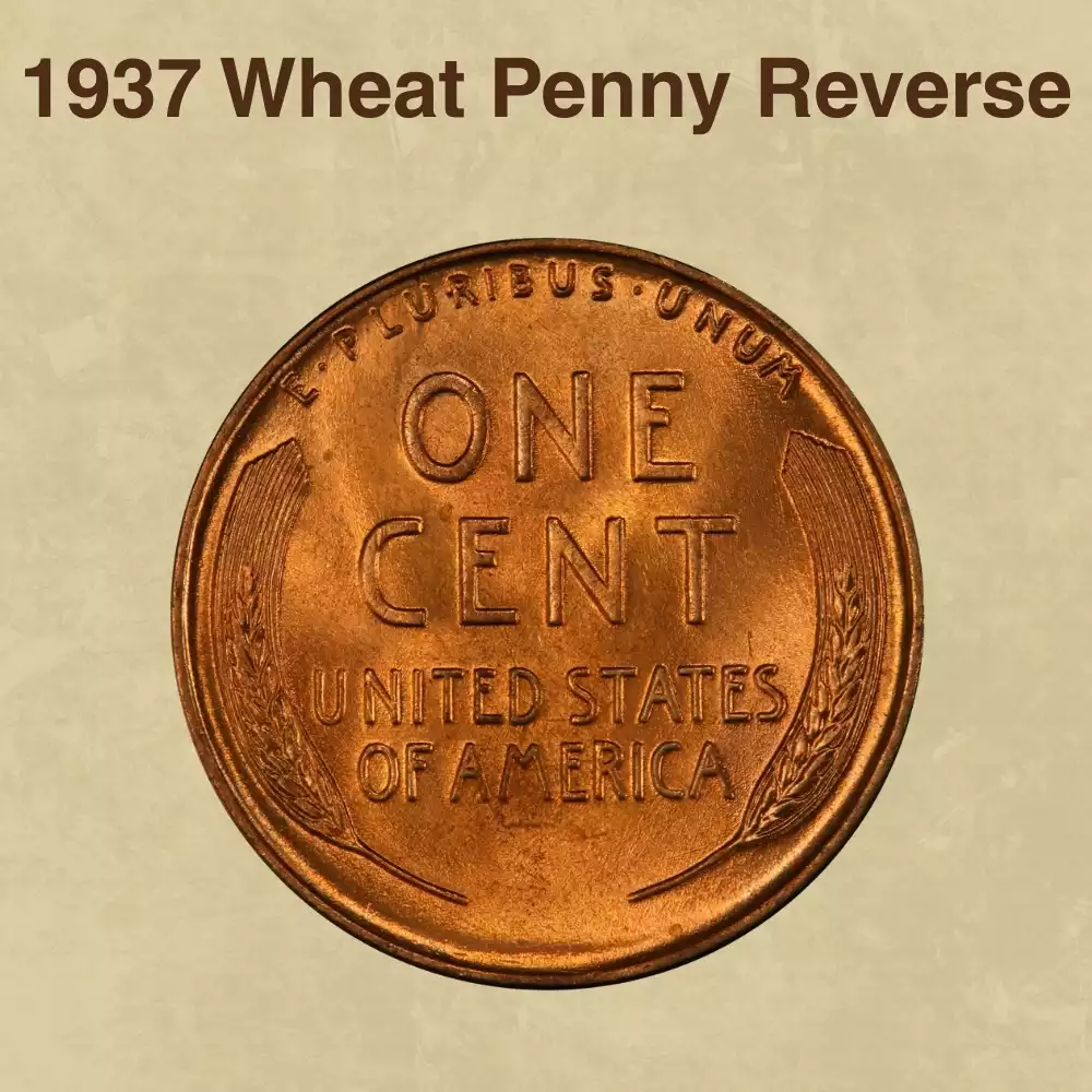 The Reverse of the 1937 Wheat Penny