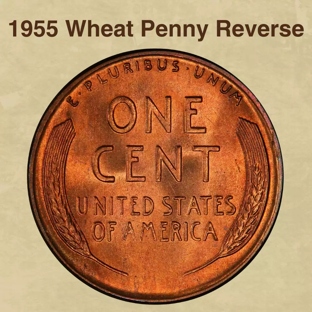 The Reverse of the 1955 Wheat Penny