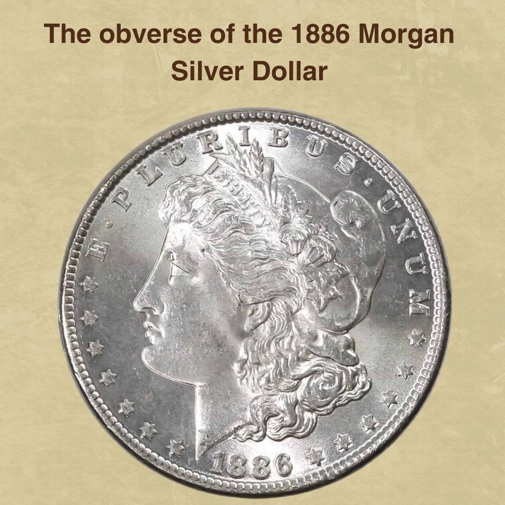 1900 Morgan Silver Dollar Value (Price Chart, Error List, History &  Varieties)