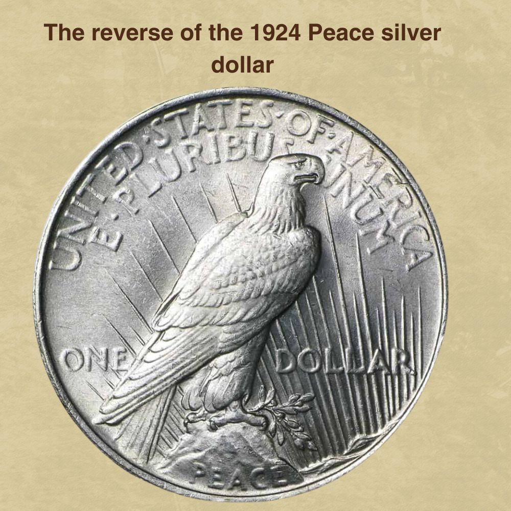 The reverse of the 1924 Peace silver dollar