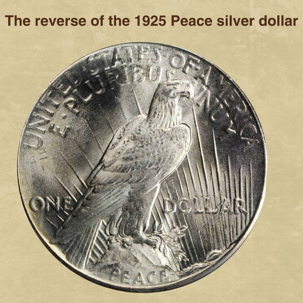 The reverse of the 1925 Peace silver dollar