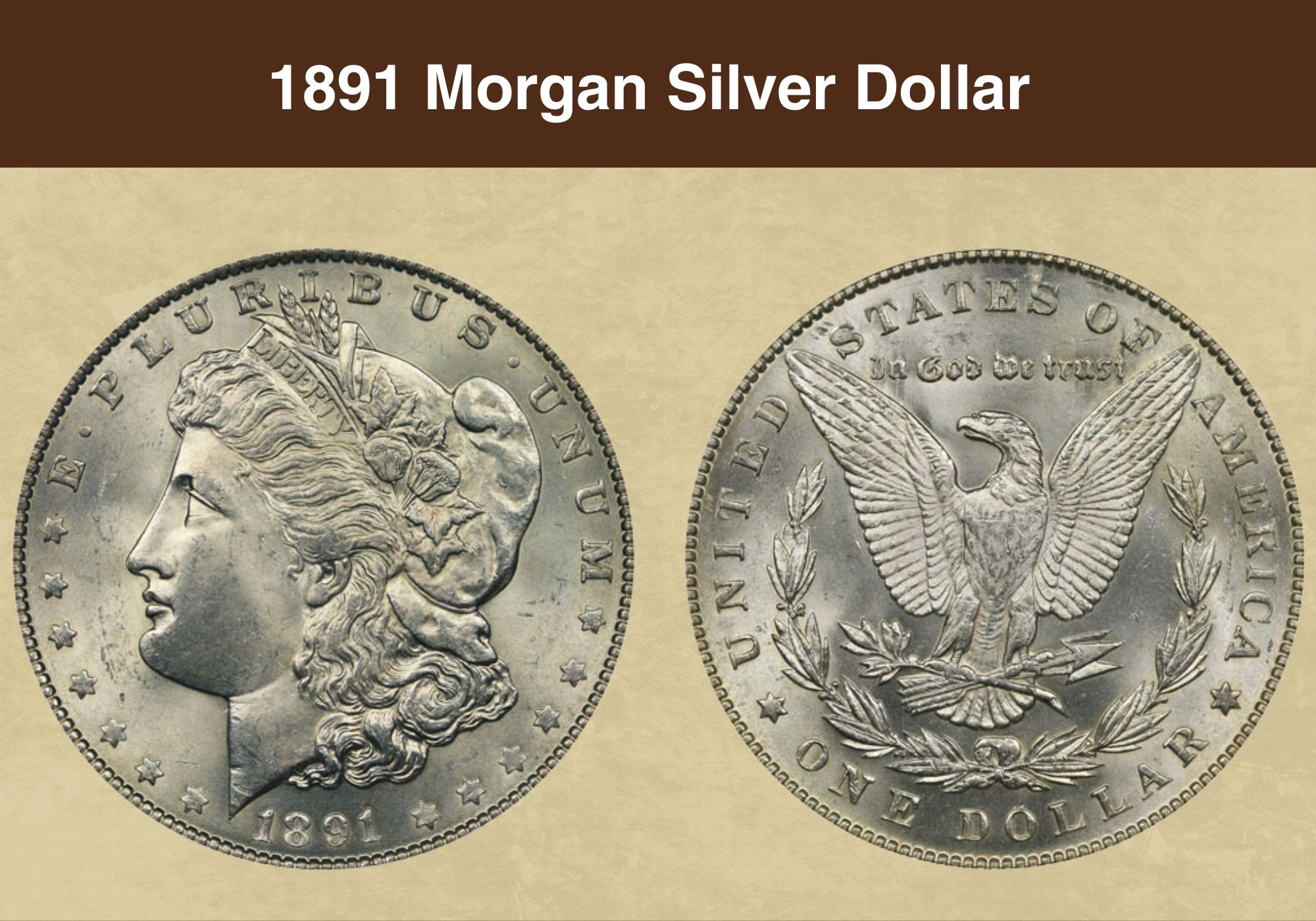 1891 Morgan Silver Dollar value