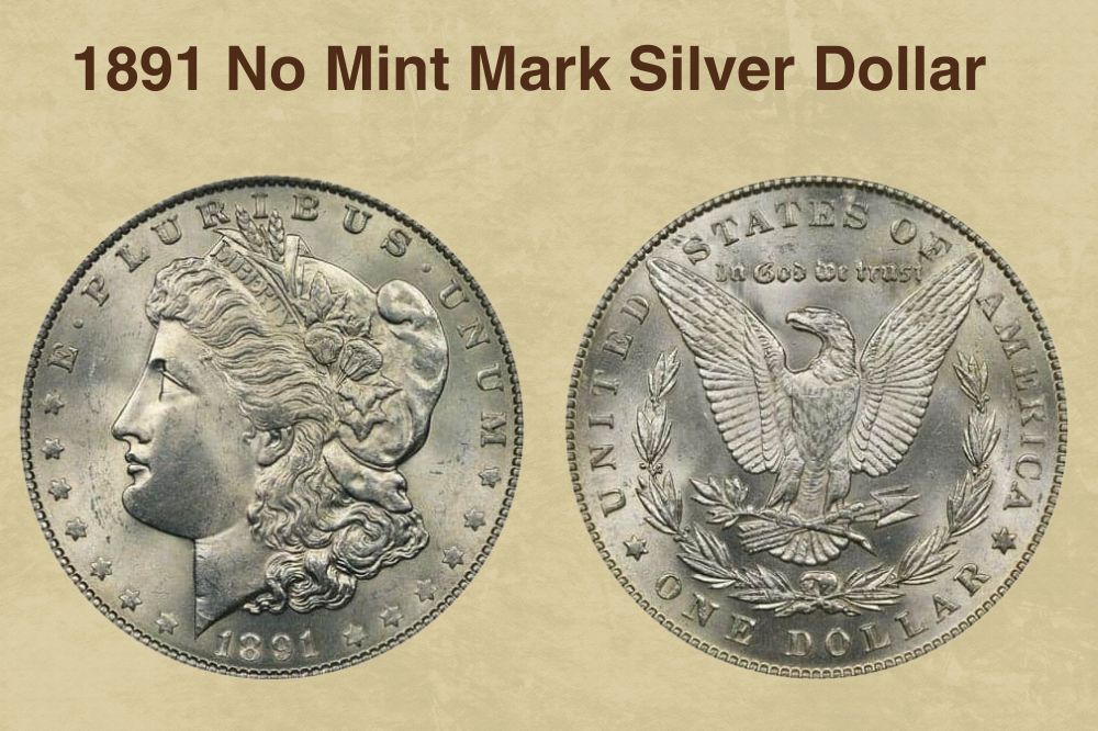 1891 No Mint Mark Silver Dollar