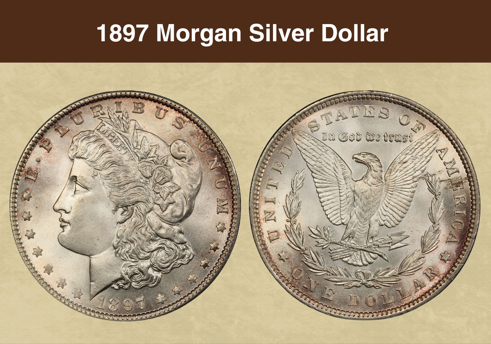 Morgan Silver Dollar Coin, Silver Coin