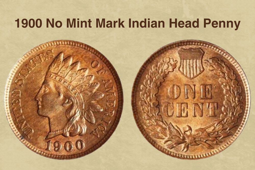 1900 No Mint Mark Indian Head Penny