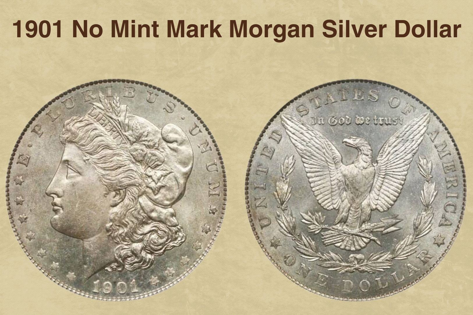 1901 No Mint Mark Morgan Silver Dollar