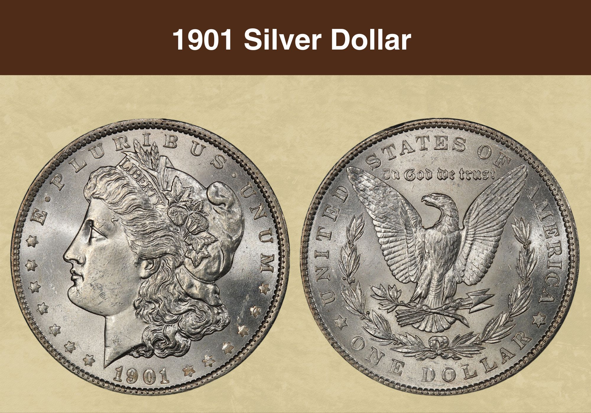1901 Silver Dollar Coin Value (Errors List, “O”, “S” & No Mint Mark Worth)