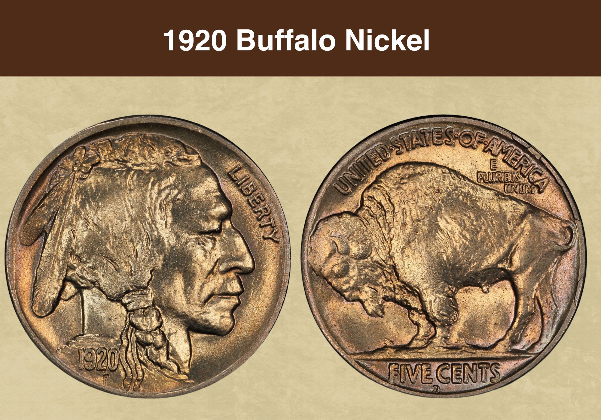  Collection of 25 Full Date Indian Head / Buffalo Nickels. :  James Earle Fraser: Everything Else