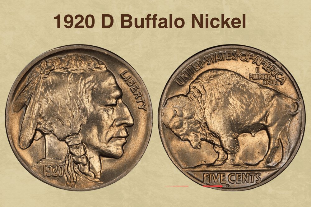 1920 D Buffalo Nickel