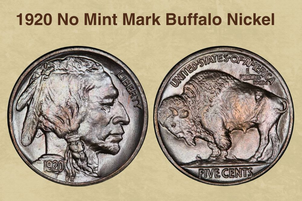 1920 No Mint Mark Buffalo Nickel