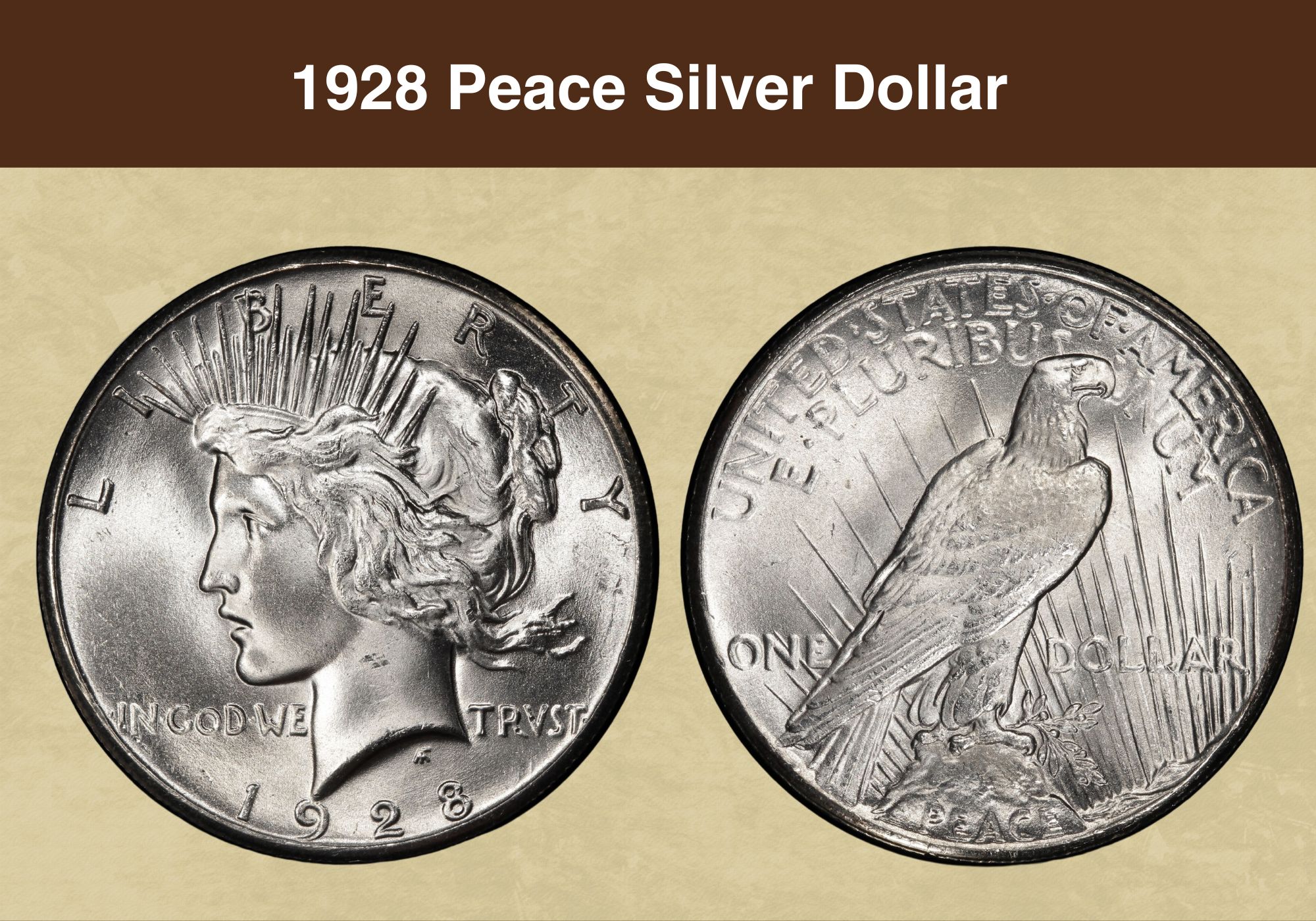 1928 Peace Silver Dollar Value