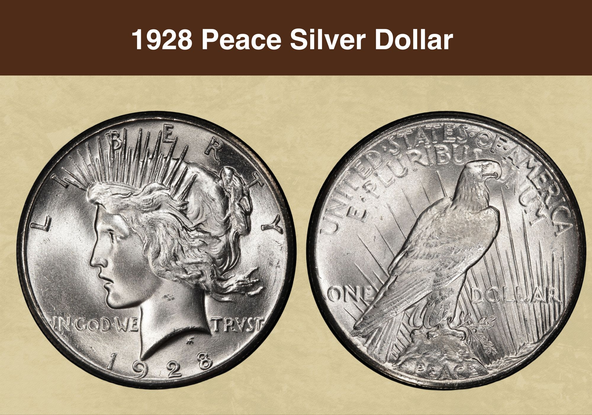 1928 Peace Silver Dollar Coin Value Price Chart Error List