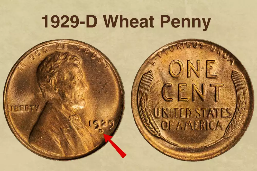 1929-D Wheat Penny Value