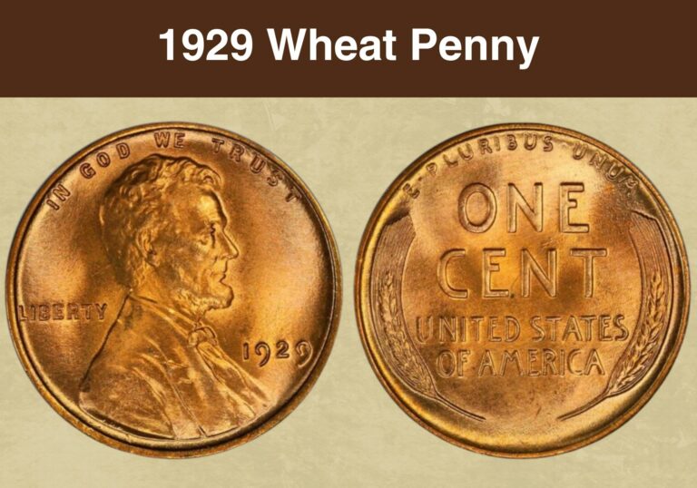 1929 Wheat Penny Value (Price Chart, Error List, History & Varieties)