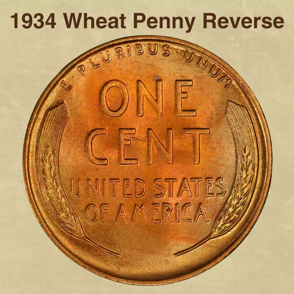 The Reverse of the 1934 Wheat Penny