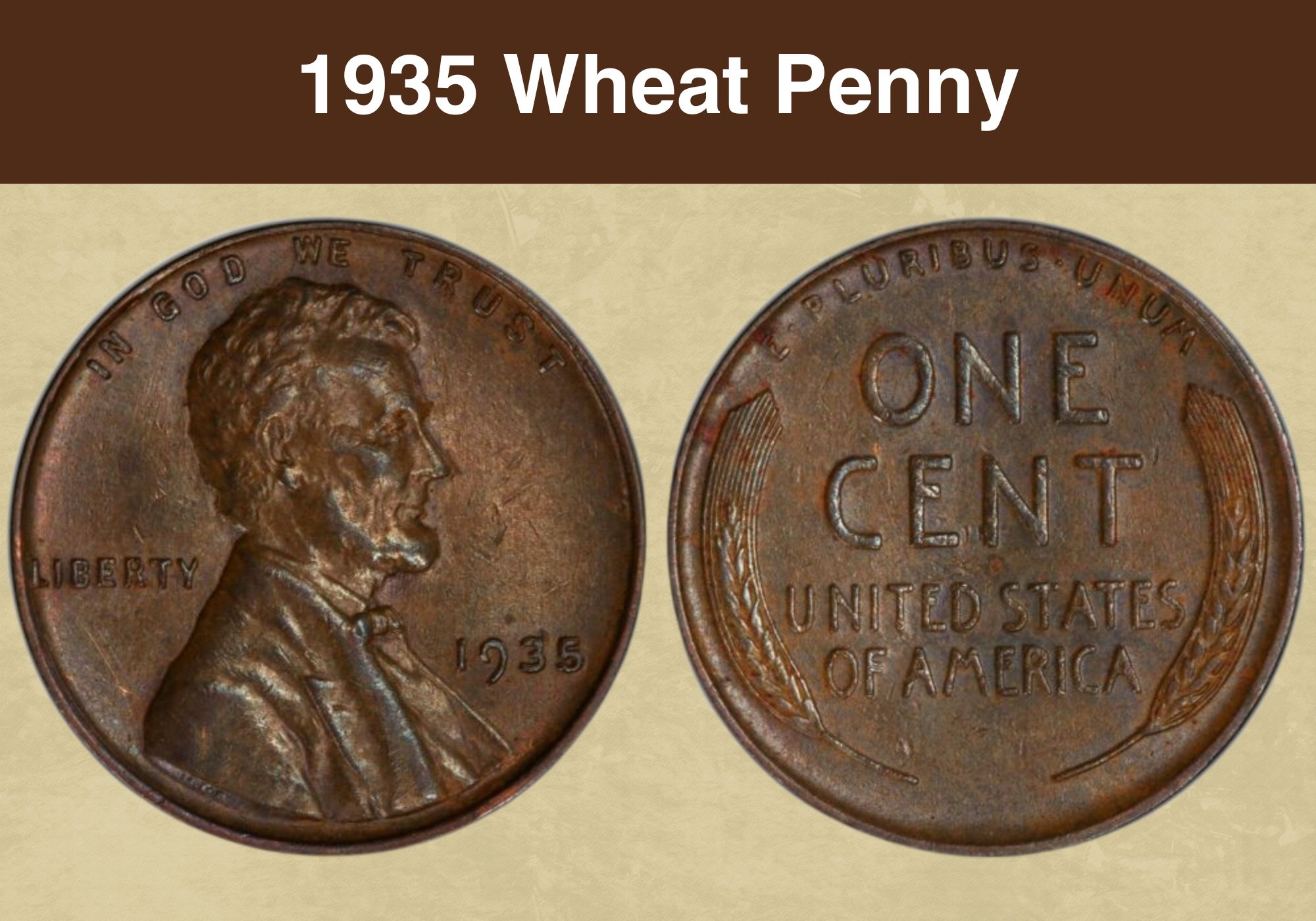 1935 Wheat Penny Coin Value (Errors List, “D”, “S” & No Mint Mark Worth)