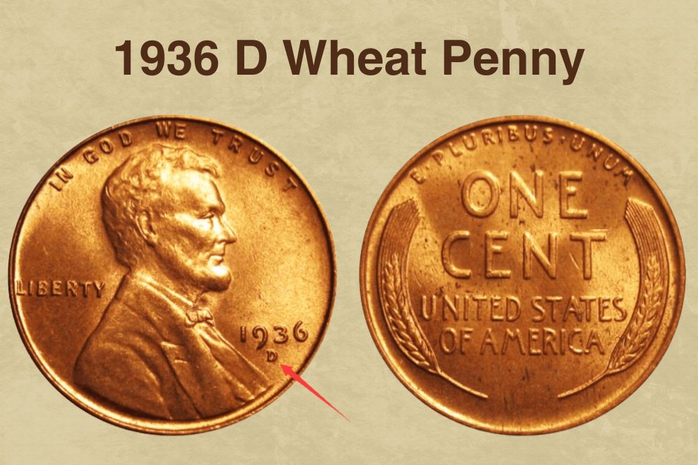 1936 D Wheat Penny