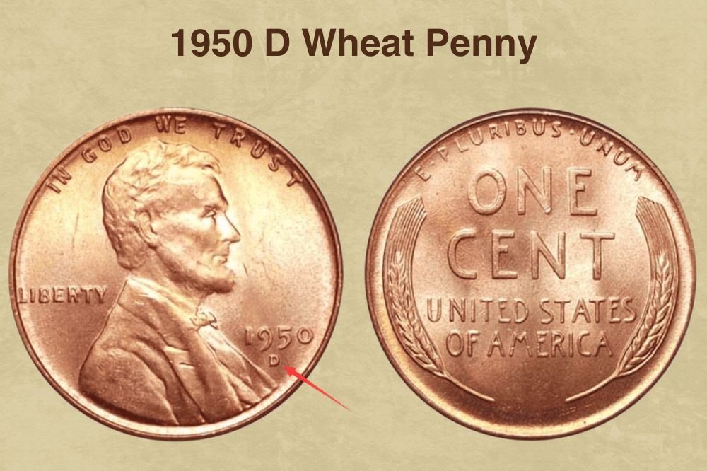 1950 D Wheat Penny