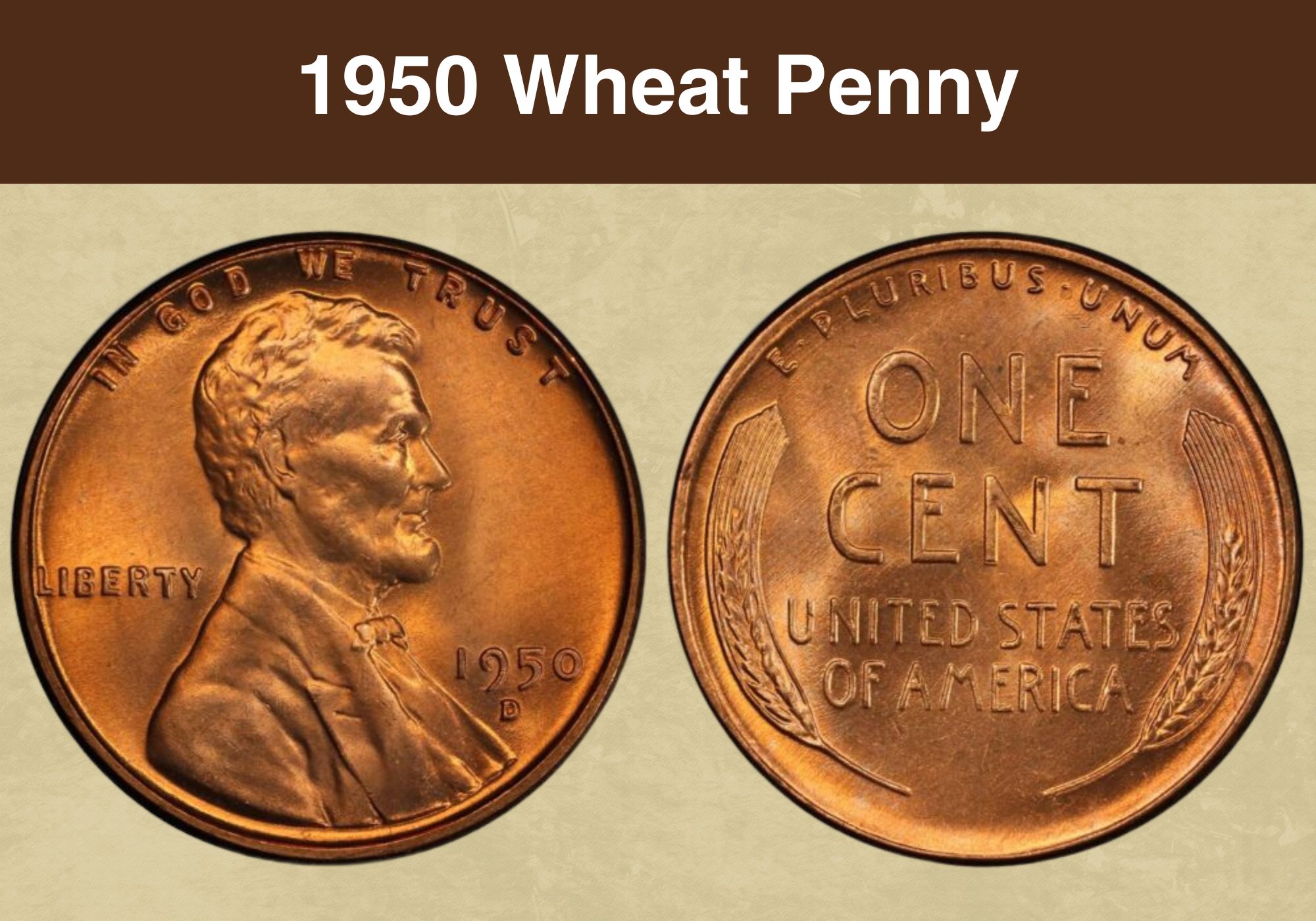 1950 Wheat Penny Coin Value (Errors List, “D”, “S” & No Mint Mark Worth)