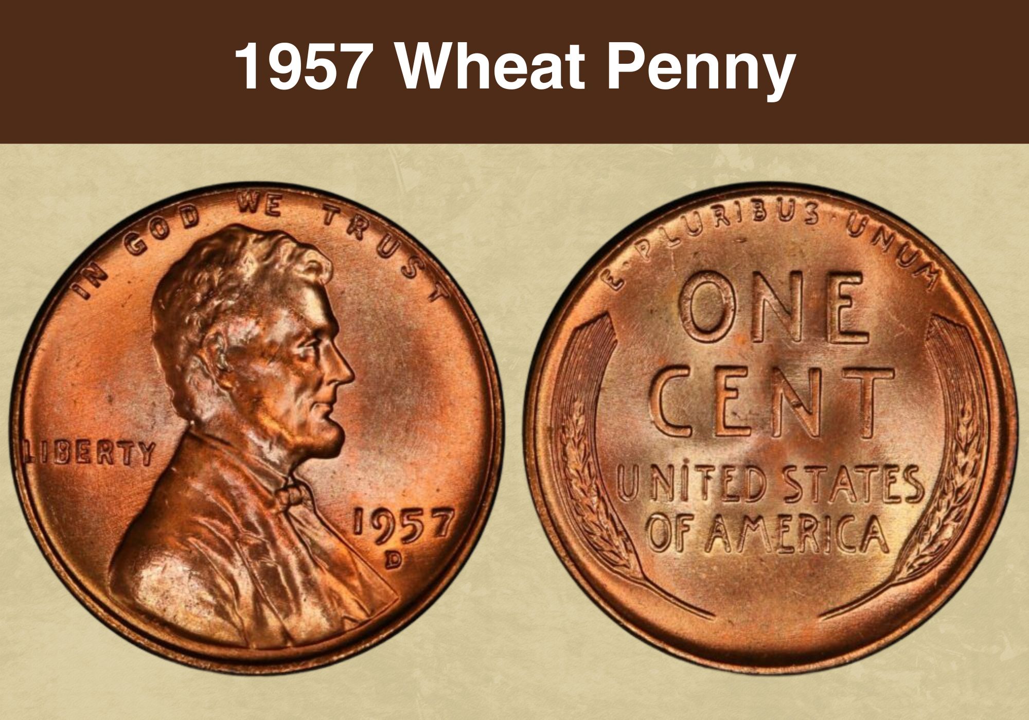 1957 Wheat Penny Coin Value (Errors List, “D” & No Mint Mark Worth)