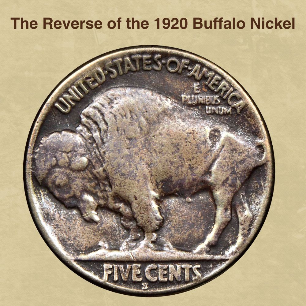 The Reverse of the 1920 Buffalo Nickel