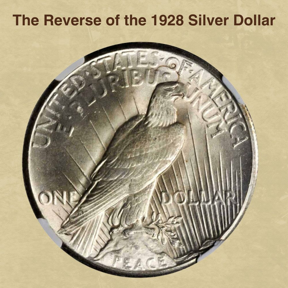 The Reverse of the 1928 Silver Dollar