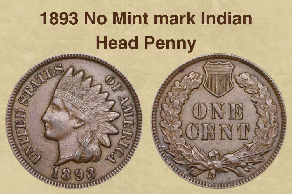 1893 No Mint mark Indian Head Penny Value
