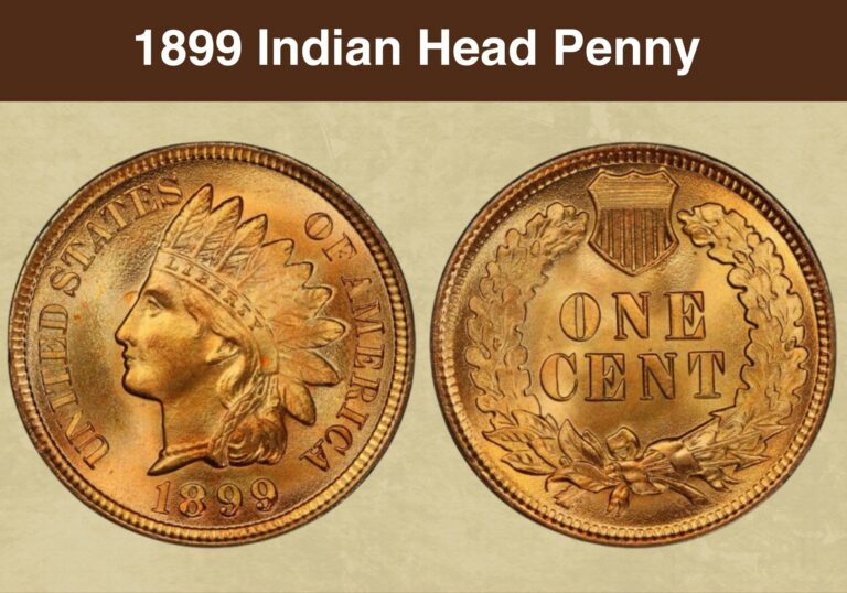 1899 Indian Head Penny Coin Value (Errors List & No Mint Mark Worth)