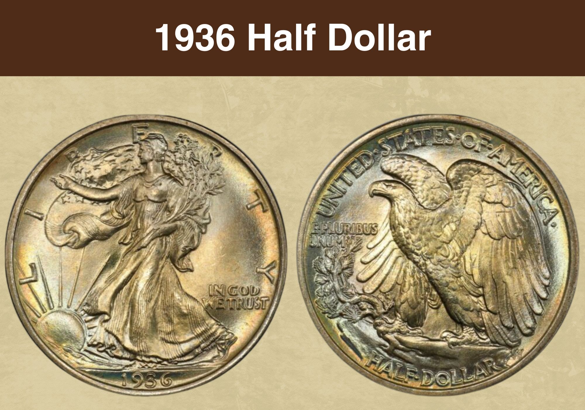 1936 Half Dollar Value