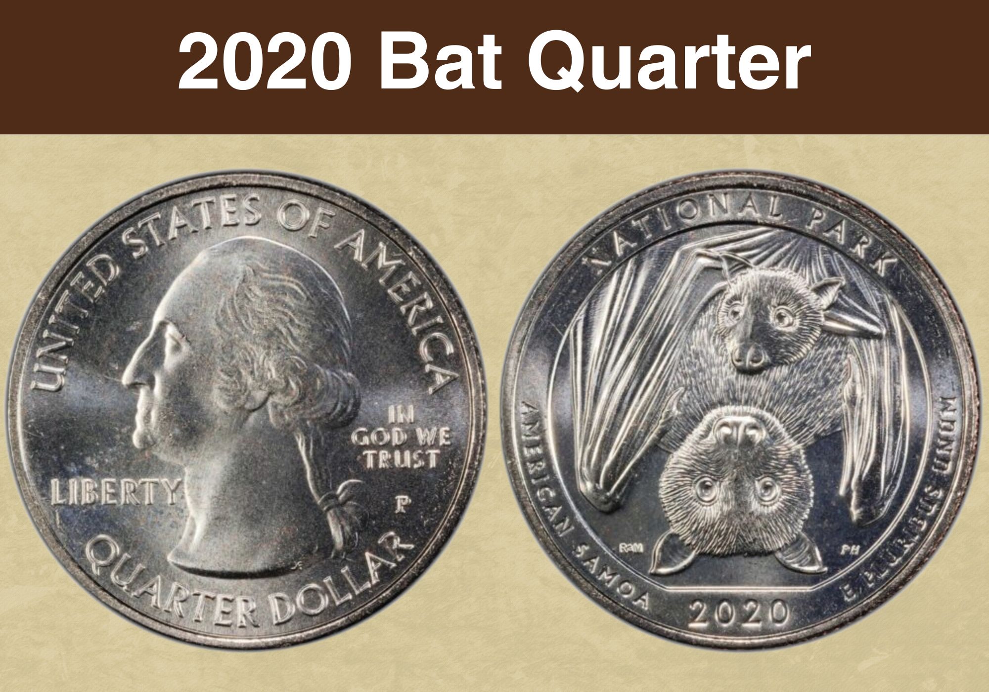 2020 Bat Quarter Value