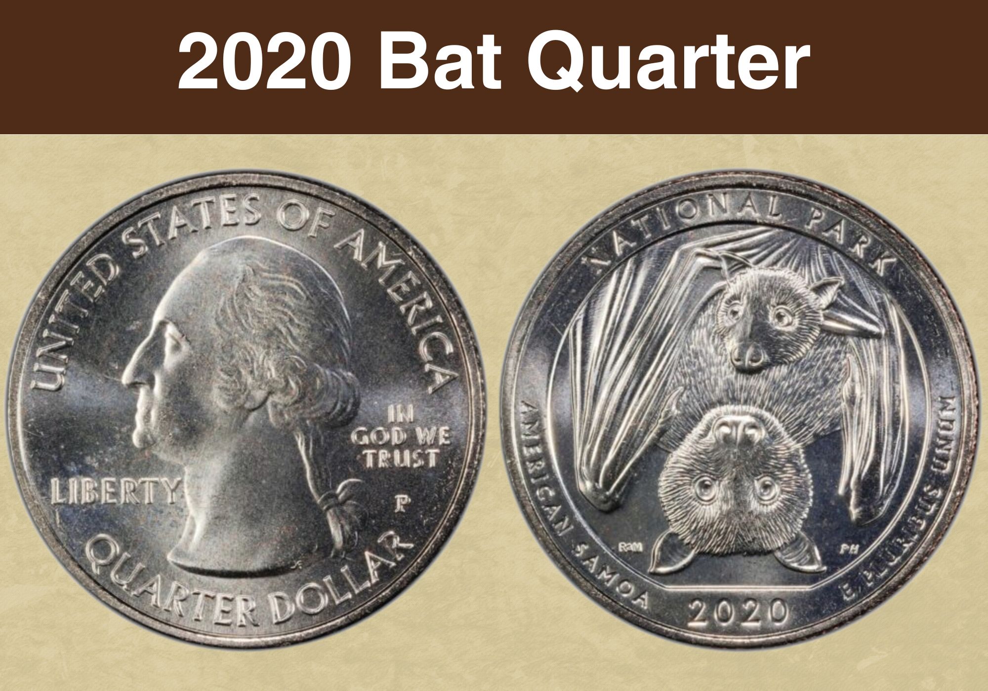 Coin Collecting 202: Introduction to Coin Grading