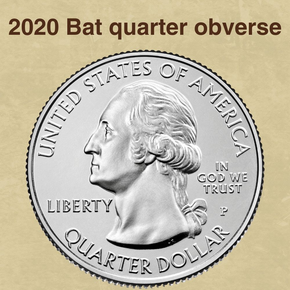 The 2020 Bat quarter obverse