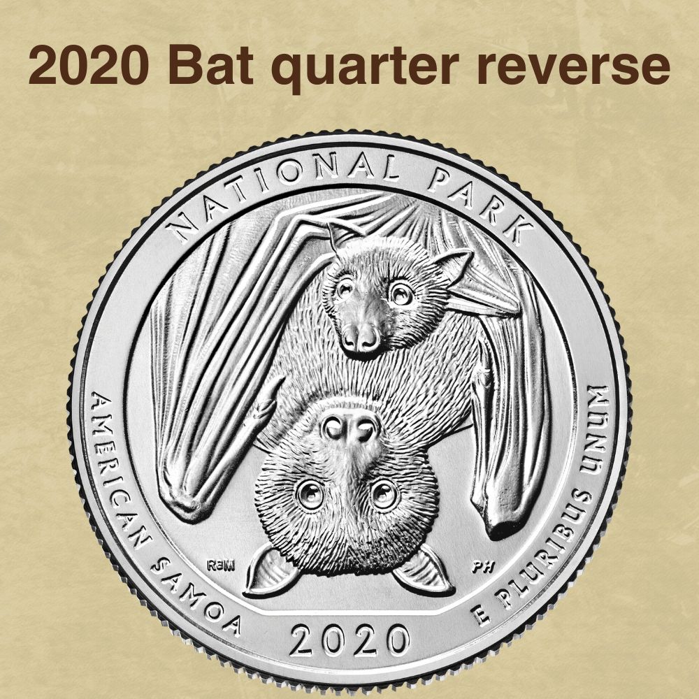 The 2020 Bat quarter reverse